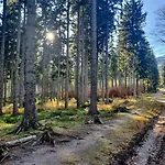 Ametyst Szklarska Poreba