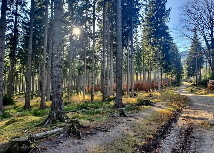 Ametyst שצ'קלארסקה פוראובה
